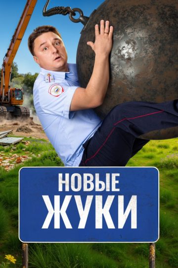 Жуки