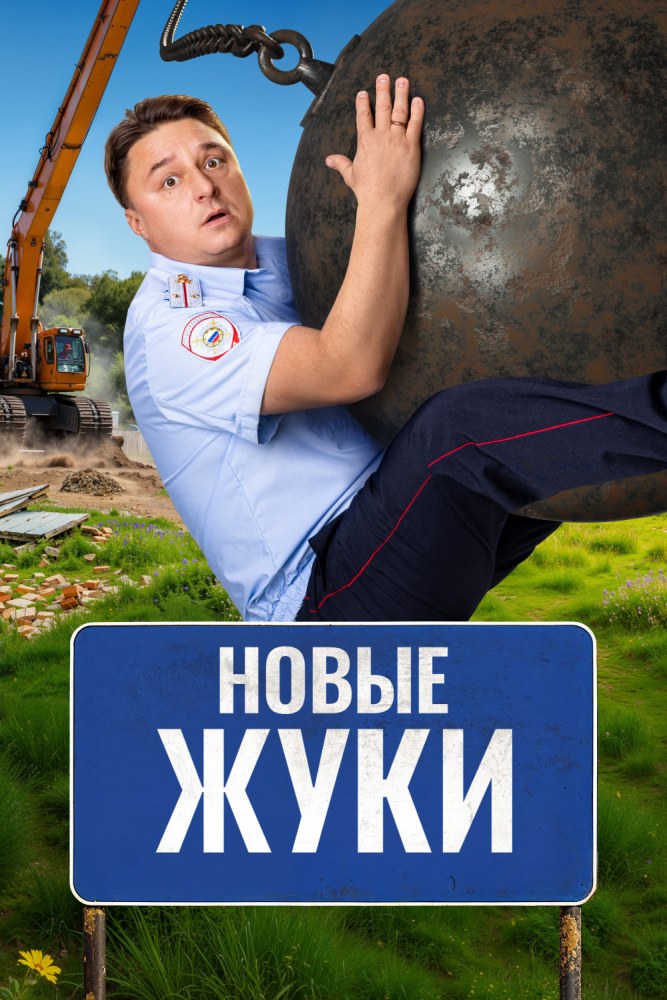 Жуки